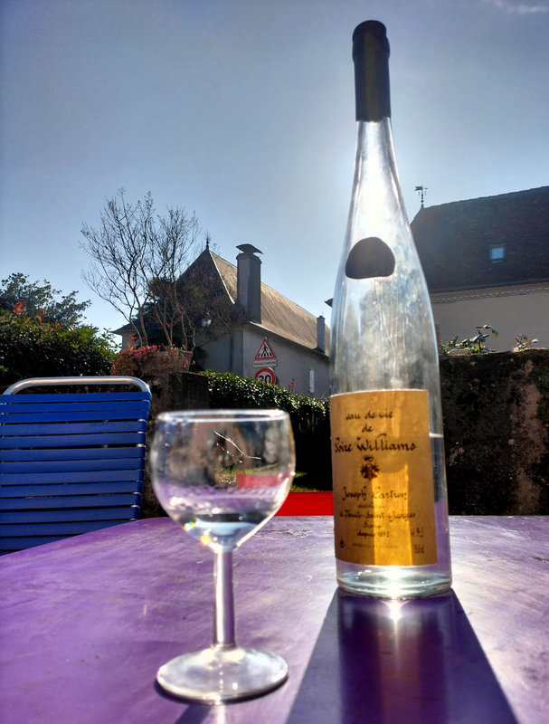 Viellenave-de-Navarrenx, la poire au soleil (64)