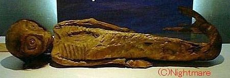 mermaid_mummy5