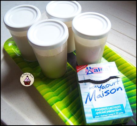 Mes yaourts maison : découverte pratique et économique recettes dessert Yaourts et lait végétaux faits maison