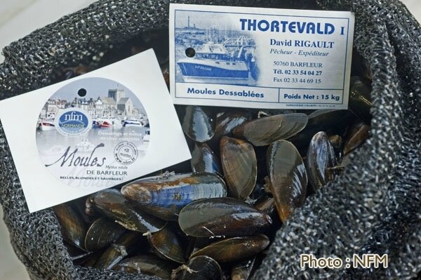 peche_drague_moule_barfleur_10_commercialisation_03__015621200_1320_08012013