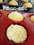 muffins_aux_raisins_noirs_et_blancs__12_