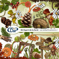 kit_esprit_de_la_foret_embellissements_2_vign