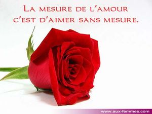 amour_3