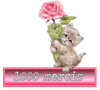 100 merci chat et roses
