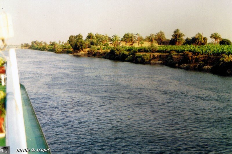 Paysage des bords du Nil