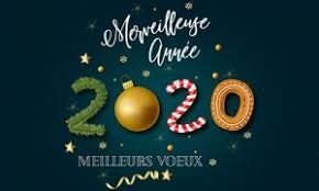 Résultat de recherche d'images pour "meilleurs voeux 2020"