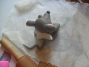 tite souris grise (1)