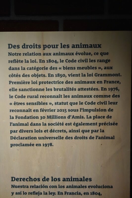 paris 2015 082