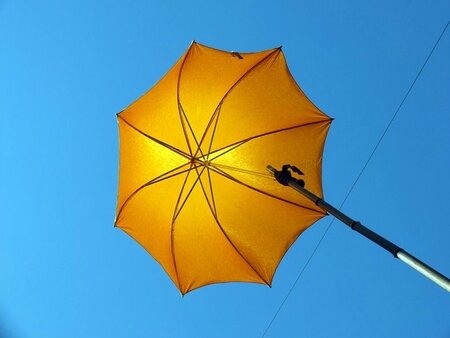 parasol-tony