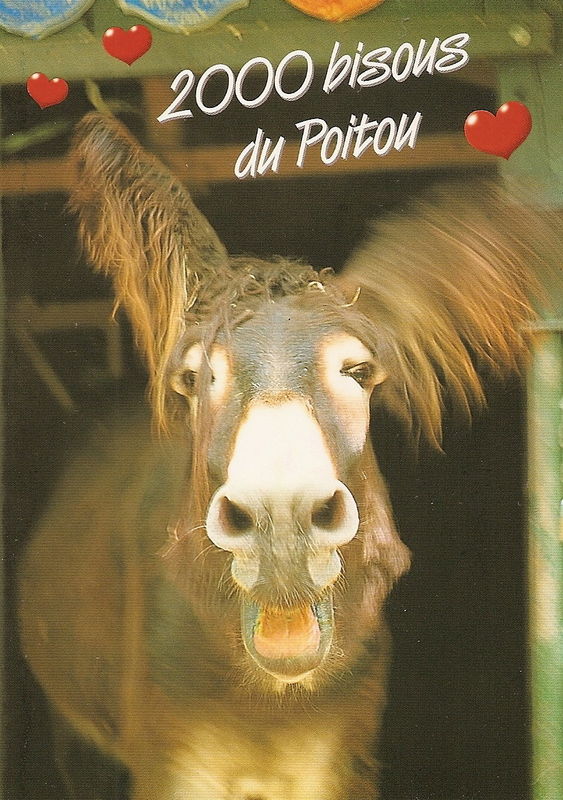 Le Poitou, la suite