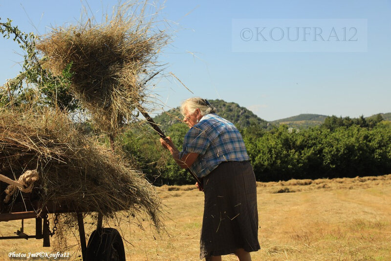 Photos JMP©Koufra 12 - Le Caylar - Fenaison - 13072019 - 1491