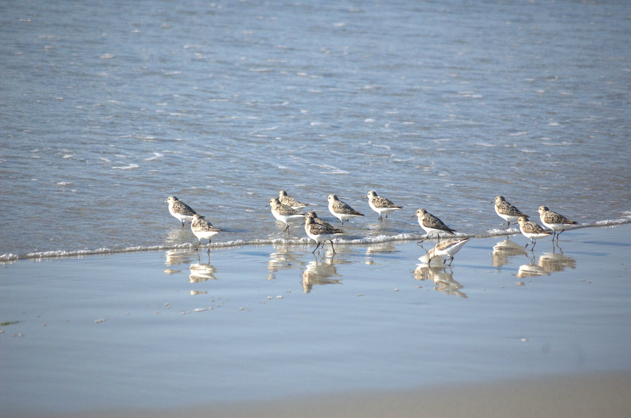 2013-08-09-20h15m10DSC_1151