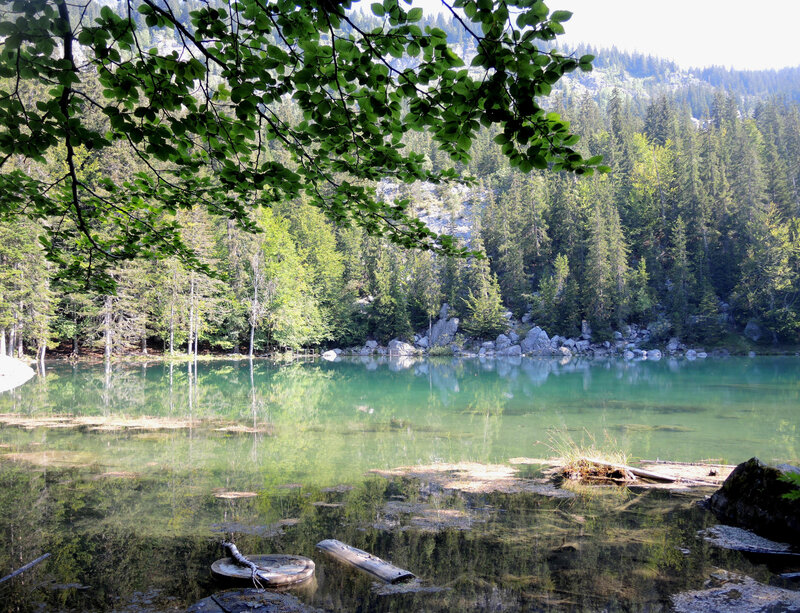 Passy, le lac Vert, vue Est (74)
