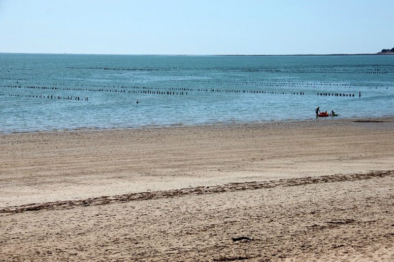 11-Noirmoutier 08-15_2087