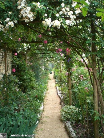 Jardin privé du rosiériste André EVE
