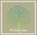 Logo Antequam - Arbre de vie