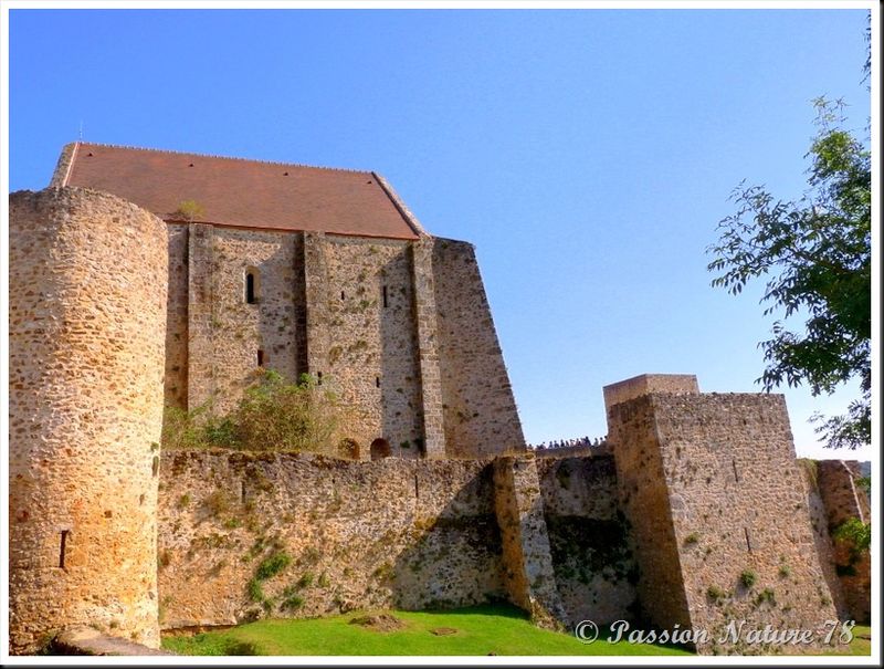 Le château de la Madeleine (5b)