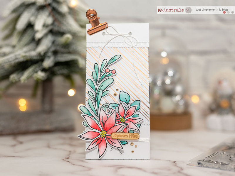 australe-scrap-australe-scrap-boite-cadeau-gourmandise-poinsettia-simon-says-stamp-8472-2-1