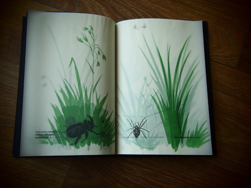 Livre-de-Bruno-Munari