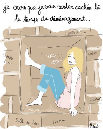 demenagement-web