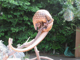pangolin_by_Leigh