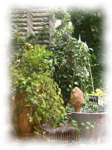 Tendre_maison3