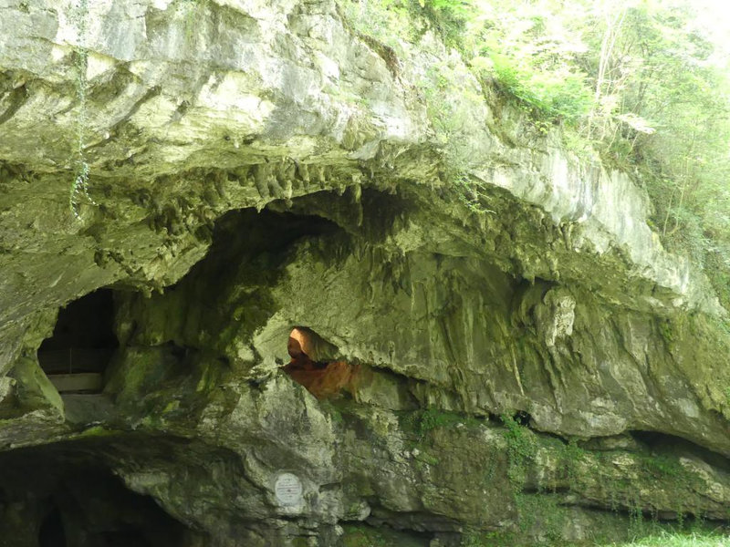 P1110276