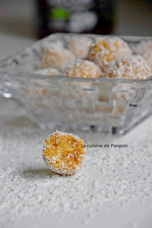 boules cajou et raffolé vegan (15)