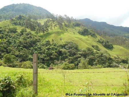 1-2013-18-fév-salento-manizales 020