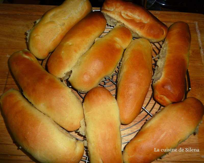 Pains à hot dog américains(3)
