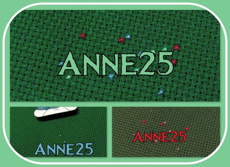 anne25_salnoel22_col1