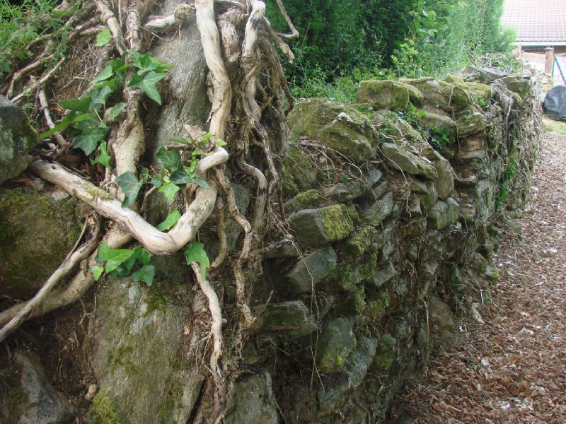 a la varrache -st martin ste Catherine un Muret