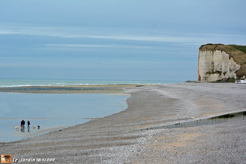 4778-Veulettes-sur-Mer