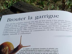 brouter_la_garrigue