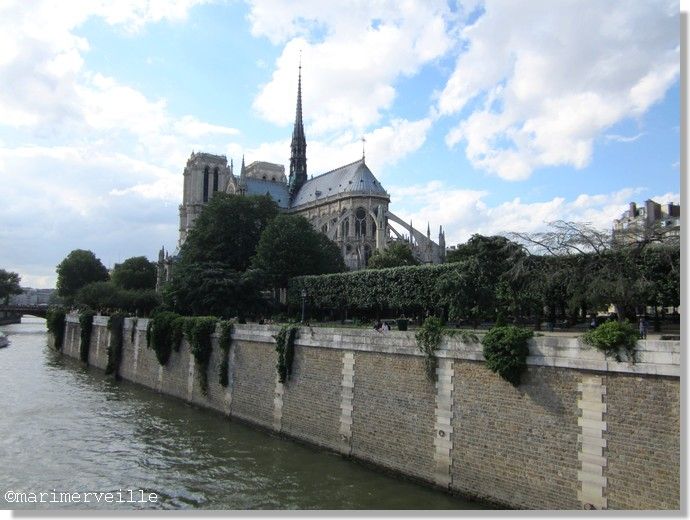 Notre Dame Vue du Pont de l'Archevêché