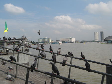 Chao_Phraya__10024_