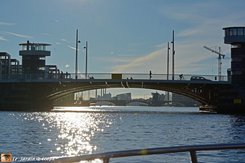 Havnen