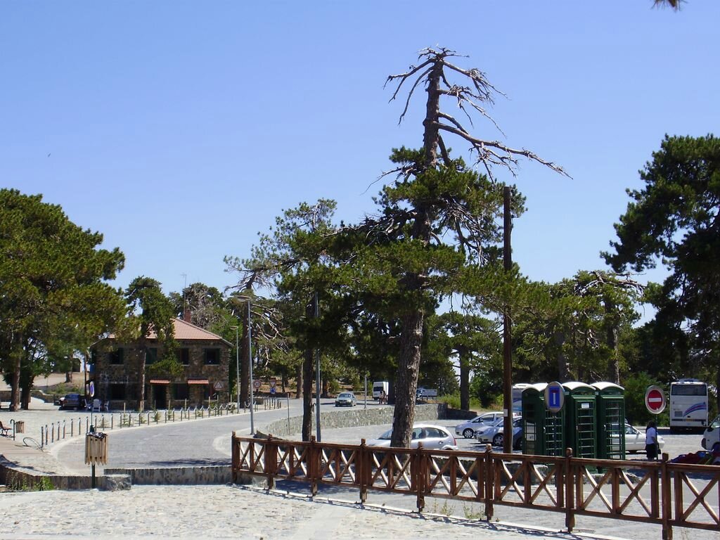 P7300131