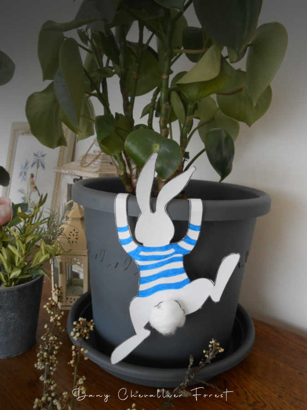 lapin pull