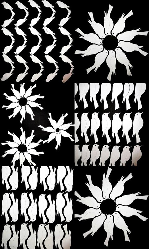 197_Noir et blanc_Nuées d'oiseaux(montage 3)