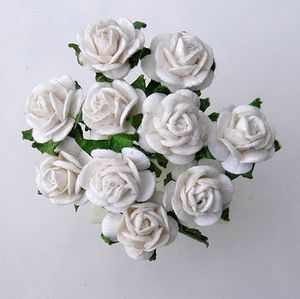 rose 1 cm blanc