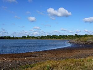 Etang_des_Landes