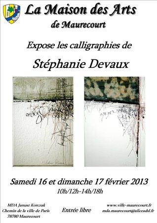 Affiche St-phanie Devaux 16 et 17 f-v 2013