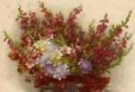 couronne-3 - Copie