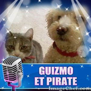 guizmo_et_pirate_1