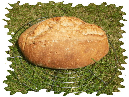 MICHE_AU_LEVAIN_FERMENTISCIBLE