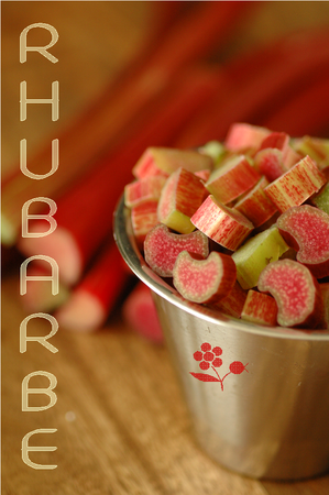 Rhubarbe_1