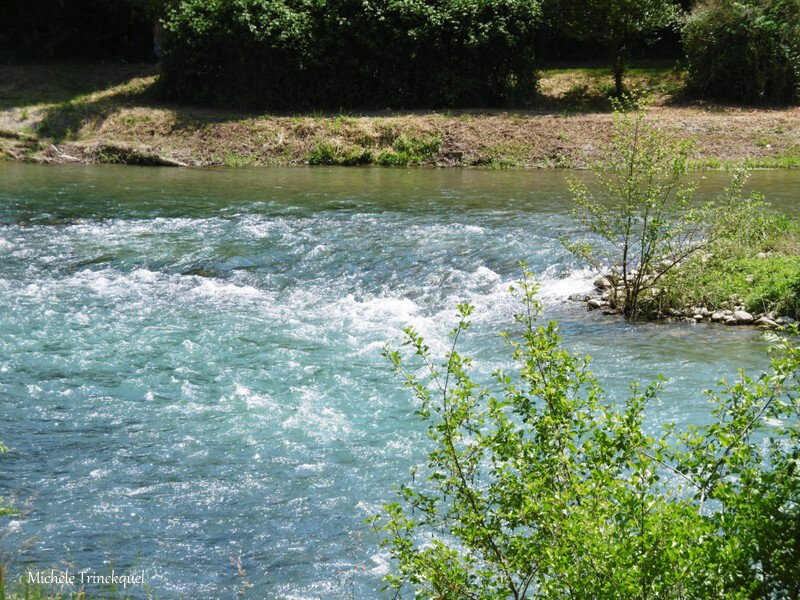 Sauveterre de Béarn 2005181