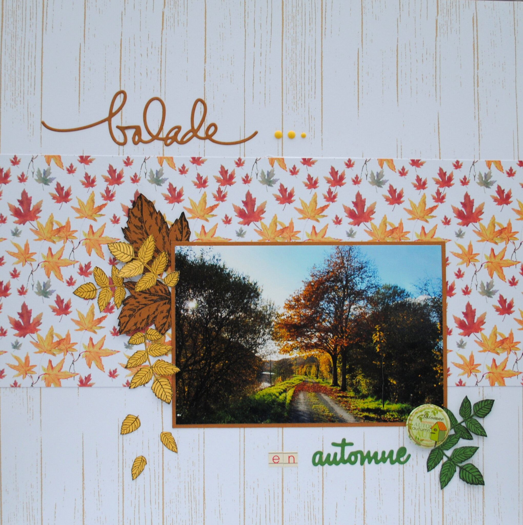 Balade en Automne