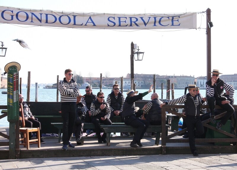 venise 31